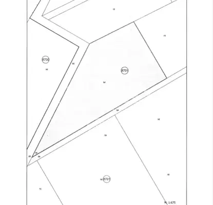 Снимка 2 — Парцел в с. Чепинци