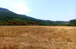 Парцел в Хасково, с. Долно Черковище