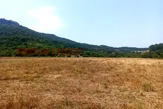 Парцел в Хасково, с. Долно Черковище