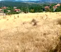 Снимка 3 — Парцел в Кърджали, с. Енчец