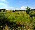 Снимка 2 — Парцел в Монтана, с. Ерден