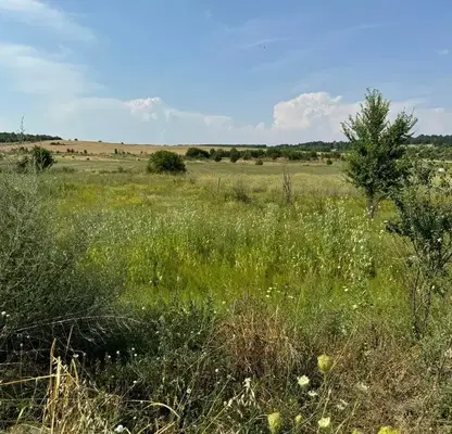 Photo 2 — Plot in Oblast Montana, Erden
