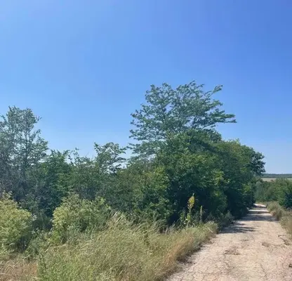 Photo 5 — Plot in Varna, General Kiselovo
