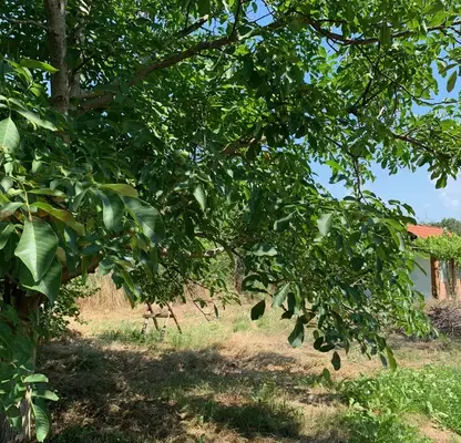 Снимка 5 — Парцел в Пловдив, с. Горна махала