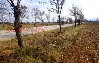 Парцел в София, с. Григорево