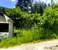 Снимка 4 — Парцел в Пловдив, с. Гълъбово