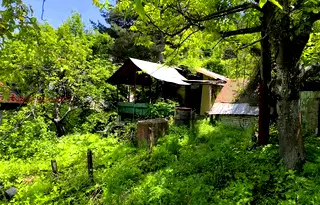 Парцел в Пловдив, с. Гълъбово