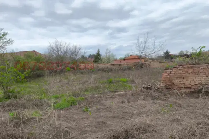 Plot in Pleven, Izgrev