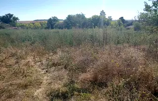 Парцел в Добрич, с. Изворово