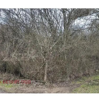 Photo 2 — Plot in област София, Makocevo