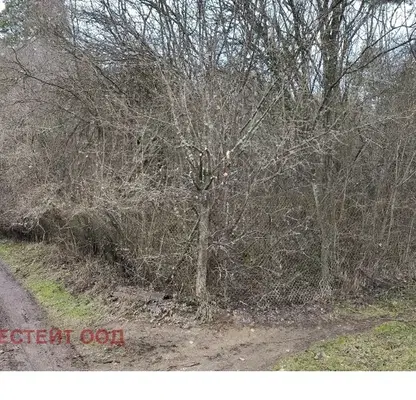 Photo 3 — Plot in област София, Makocevo