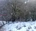 Снимка 3 — Парцел в Смолян, с. Момчиловци