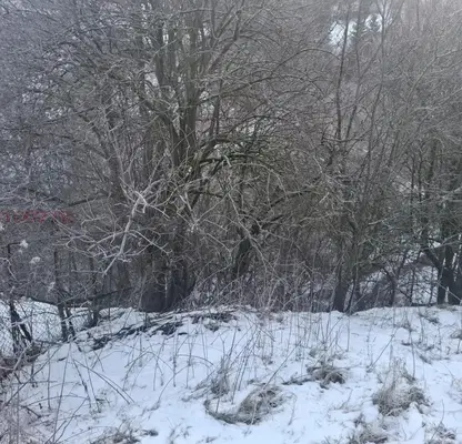 Photo 3 — Plot in Oblast Smolyan, Momchilovci