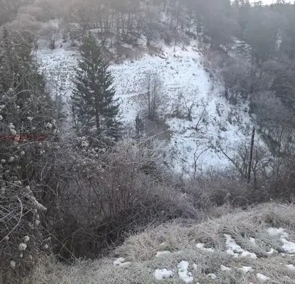 Photo 5 — Plot in Oblast Smolyan, Momchilovci