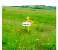 Снимка 4 — Парцел във Варна, с. Неофит Рилски