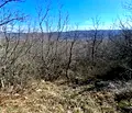 Снимка 3 — Парцел във Варна, с. Осеново