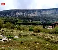 Снимка 3 — Парцел във Враца, с. Паволче