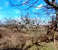 Снимка 2 — Парцел във Варна, с. Приселци