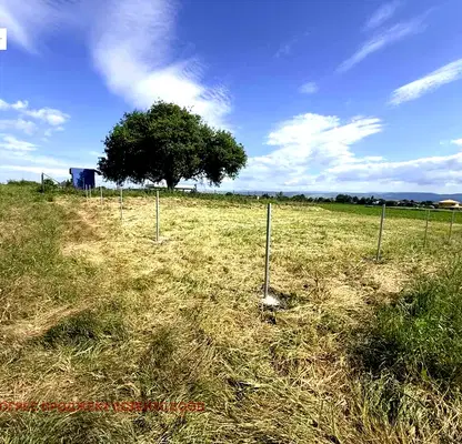 Photo 3 — Plot in област София, Prolesha