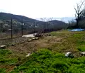 Снимка 2 — Парцел в Стара Загора, с. Пъстрово