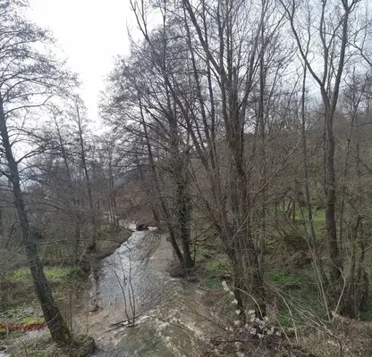 Снимка 4 — Парцел в Стара Загора, с. Пъстрово