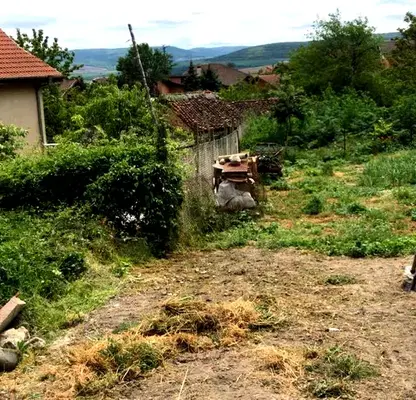 Photo 2 — Plot in Oblast Dobrich, Rogachevo