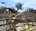 Снимка 2 — Парцел в Добрич, с. Рогачево