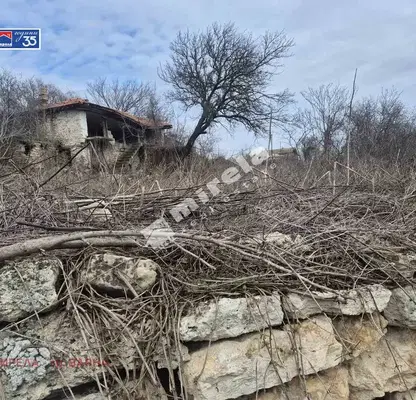 Photo 2 — Plot in Oblast Dobrich, Rogachevo