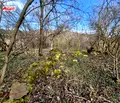 Снимка 4 — Парцел във Велико Търново, с. Сливовица