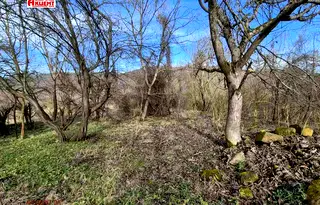 Парцел във Велико Търново, с. Сливовица