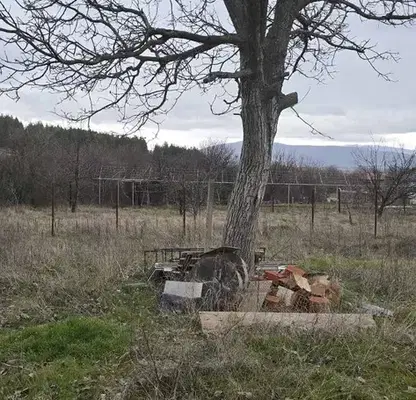 Photo 2 — Plot in Oblast Pernik, Stefanovo
