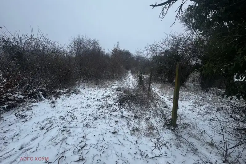 Plot in Zvezdica