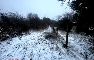 Парцел в с. Звездица