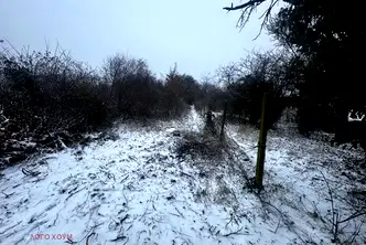 Парцел в с. Звездица