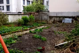 Парцел в София, Център