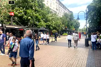 Парцел в София, Център
