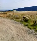 Парцел в София, м-т Камбаните