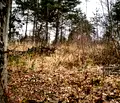 Снимка 4 — Парцел в София, м-т Щъркелово гнездо