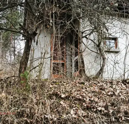 Снимка 5 — Парцел в София, м-т Щъркелово гнездо