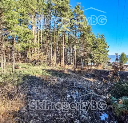 Photo 5 — Plot in Sofiya, м-т яз. Искър