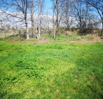 Photo 5 — Plot in Sofia, Orlandovci