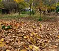 Снимка 4 — Парцел в София, Витоша
