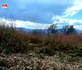 Снимка 2 — Парцел в Студентски