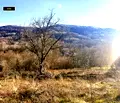 Снимка 2 — Парцел в Ловеч, Троян