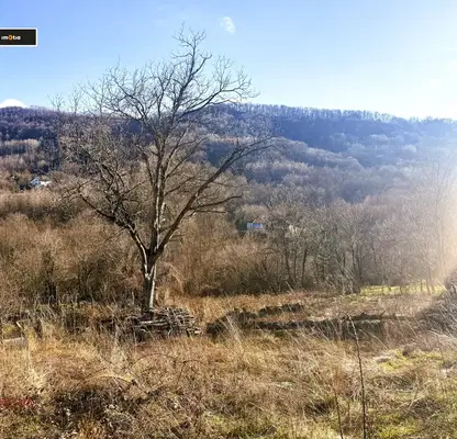 Photo 2 — Plot in Oblast Lovech, Troyan