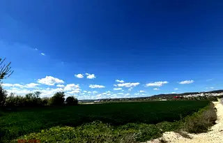 Парцел във Варна, Бизнес парк Варна
