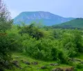 Снимка 3 — Парцел в Монтана, Вършец