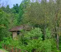 Снимка 4 — Парцел в Монтана, Вършец