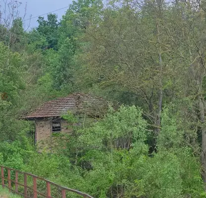 Photo 4 — Plot in Oblast Montana, Vyrshec