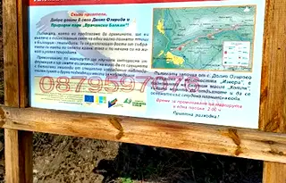 Парцел в Монтана, Вършец